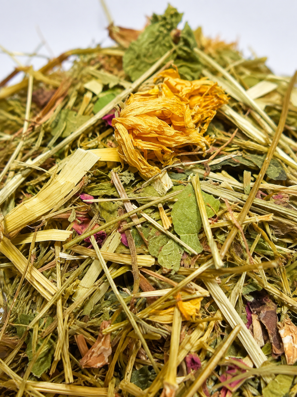 Mélange d'herbes Junior