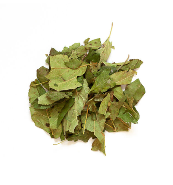 Feuilles de pommier