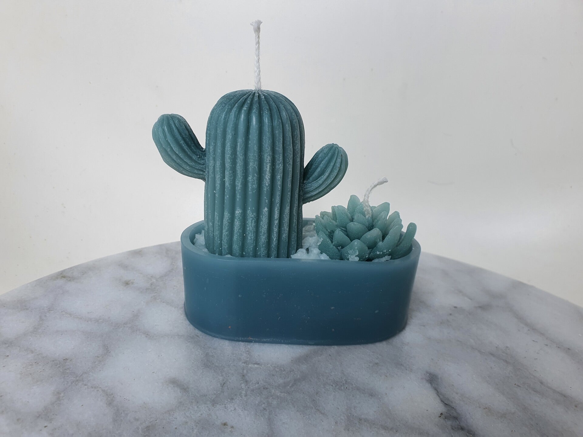 Cactus + Vetplantje in pot