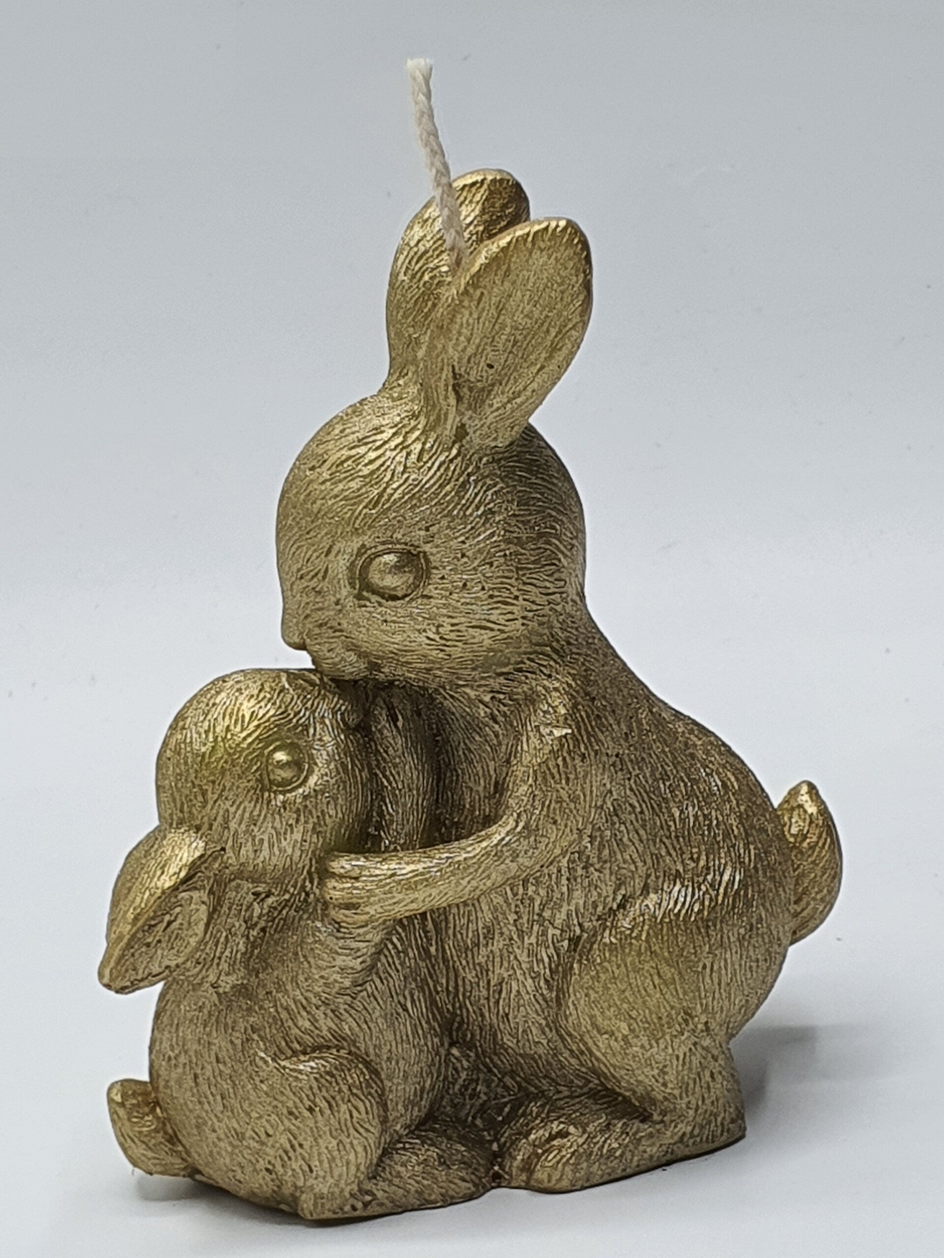 Mama konijn met kind