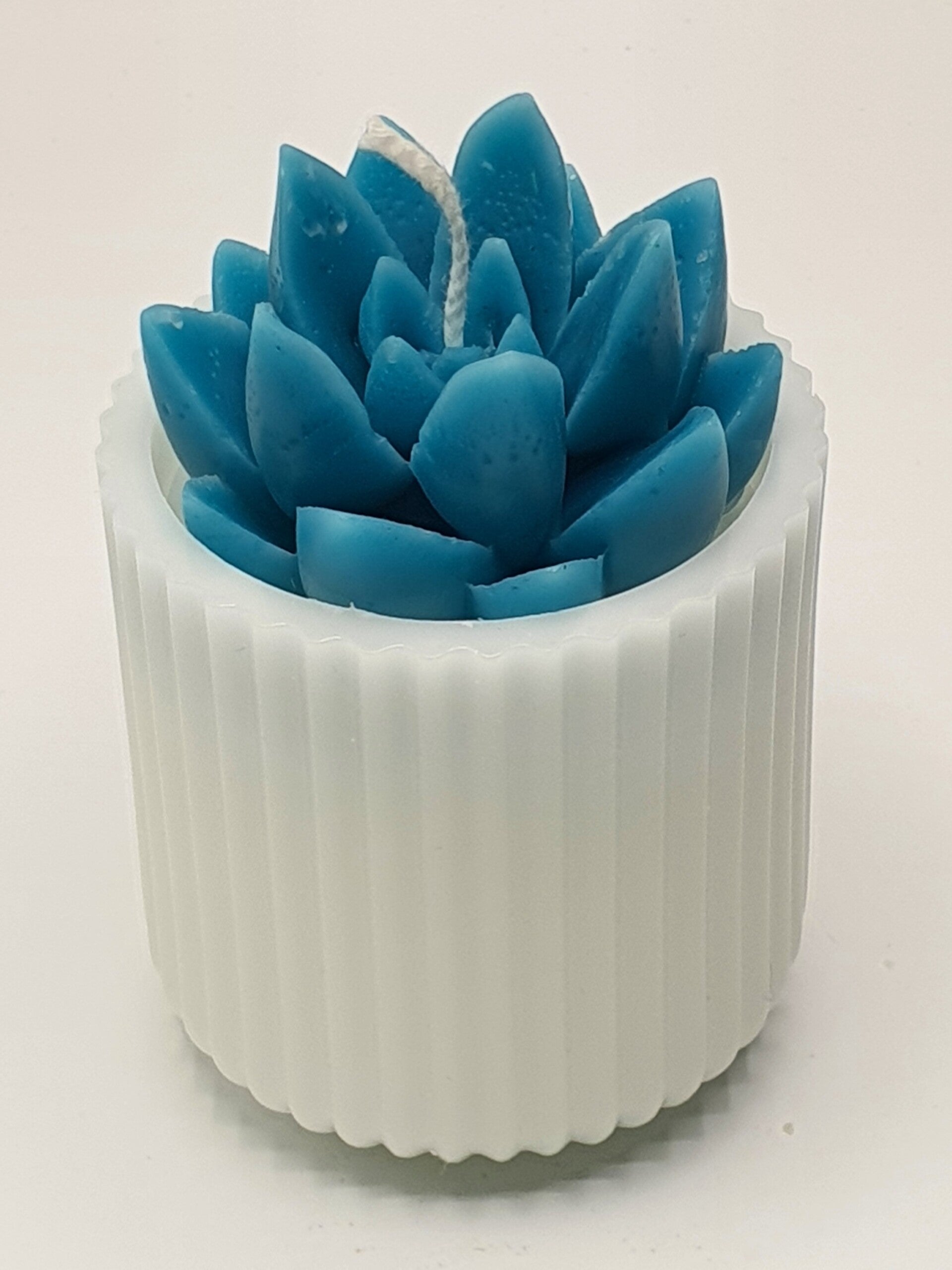 Vetplant in pot kaars