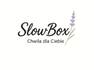 SlowBox