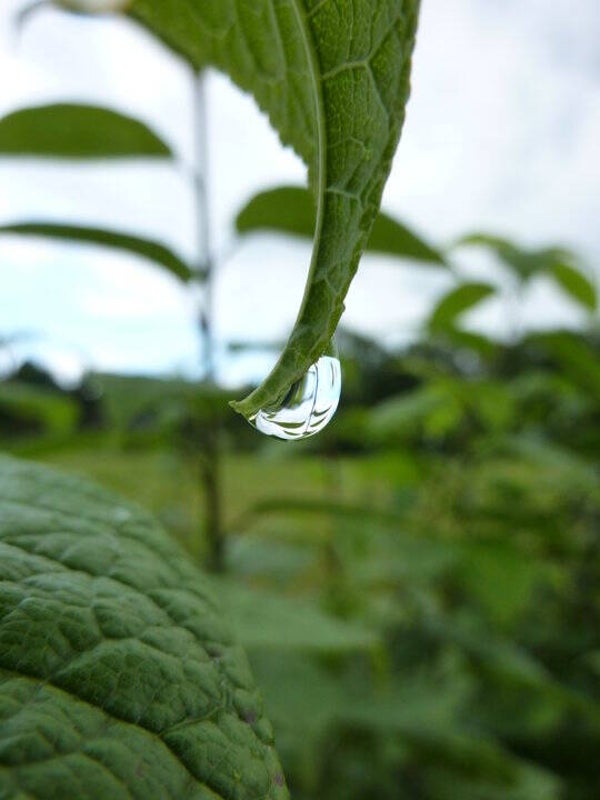 Inverted Teardrop Photography