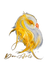 DonArts