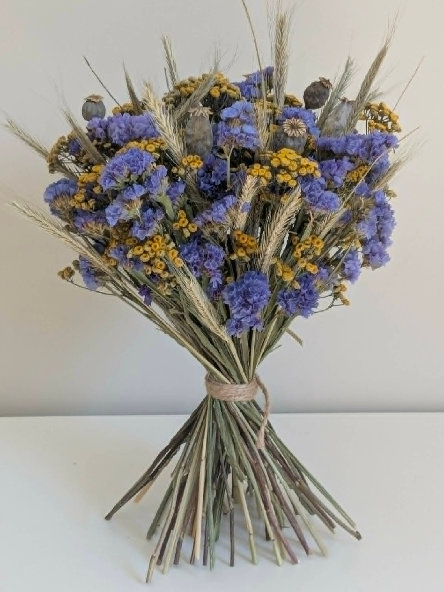 tulpen