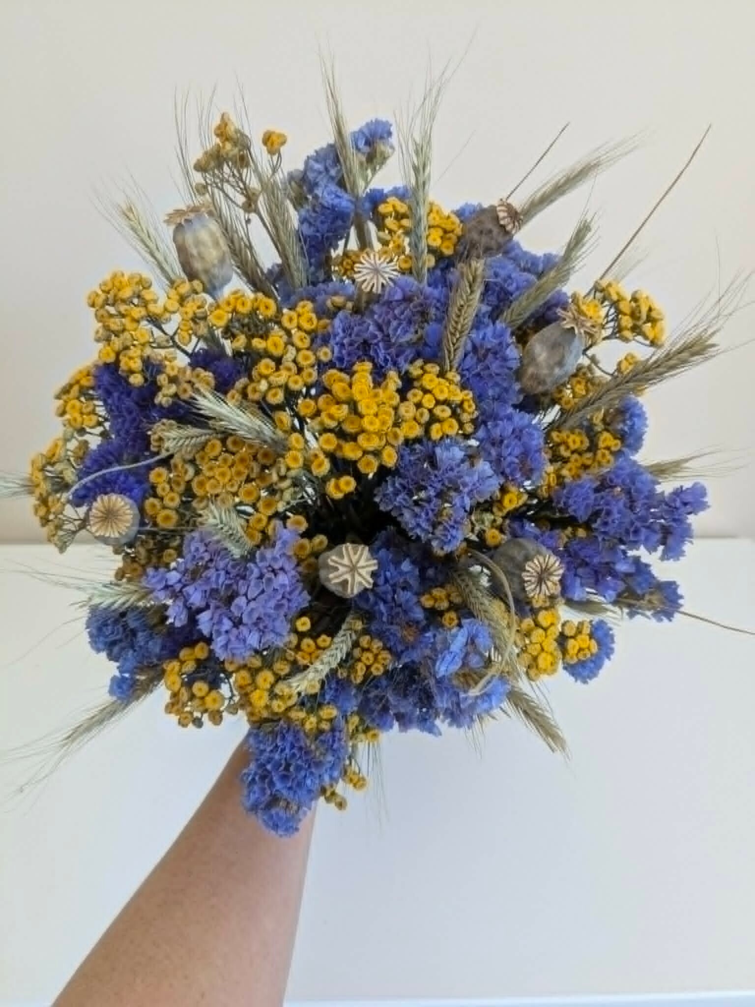 tulpen