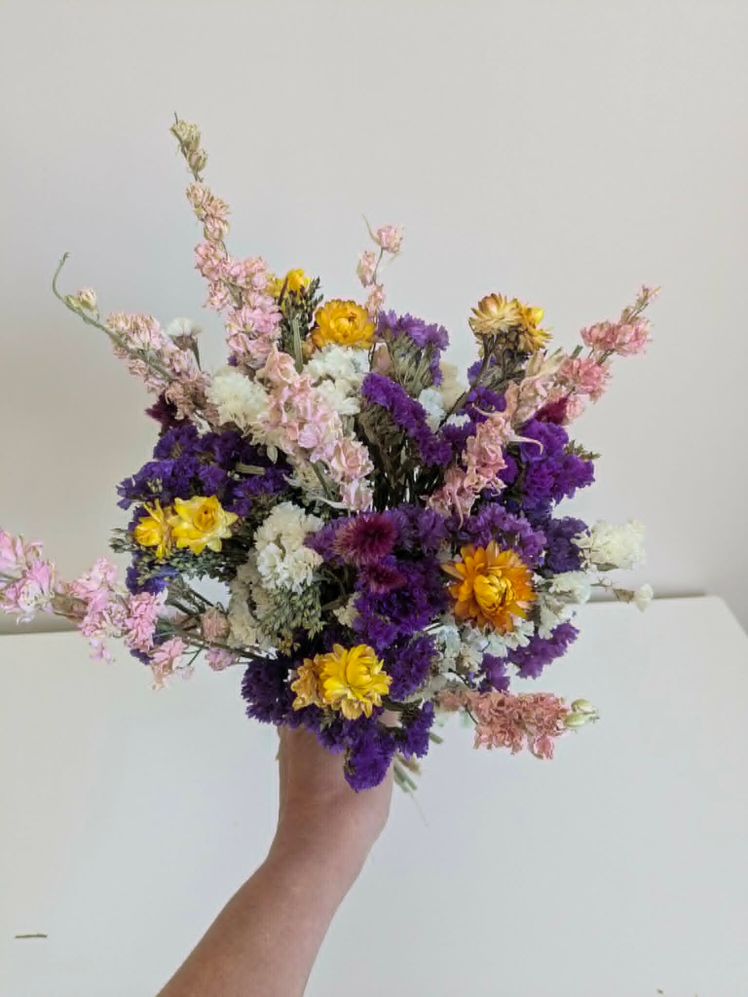 tulpen