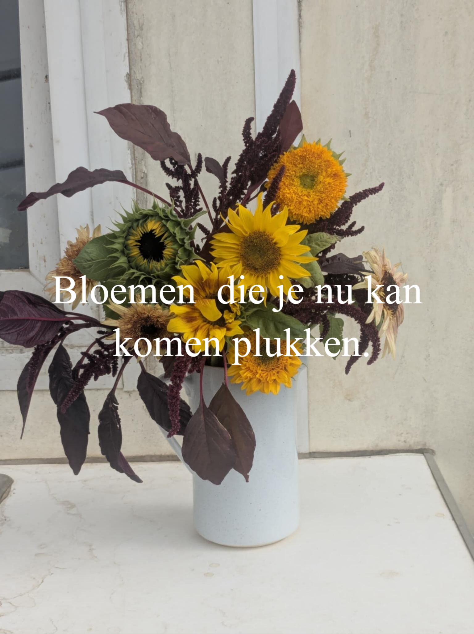 Veldboeket dat je nu kan plukken.