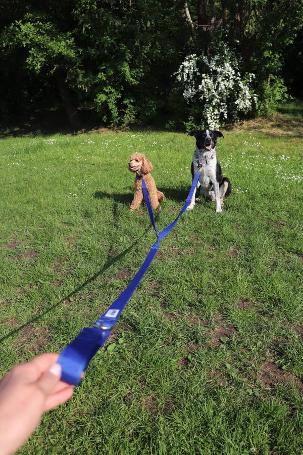 VOLO Multi 30 mm