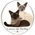 Cattery del ThyMar