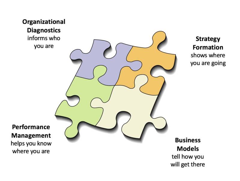 HSS provides services foundational to strategy: diagnostics, strategy cascade, business models, and performance management.
