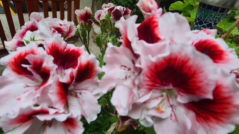 20230510_111502-copia-standard.jpg
