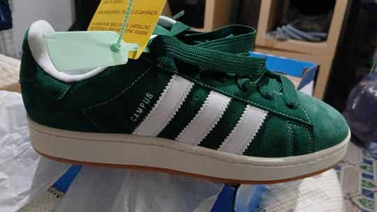 Adidas campus verdi