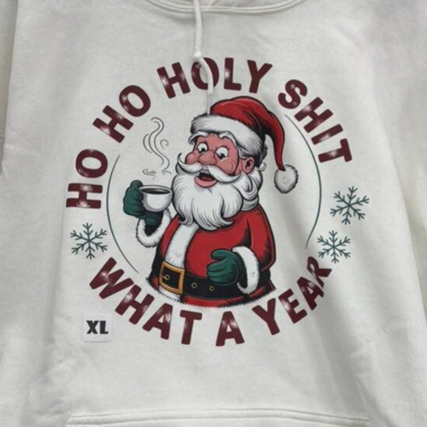 Ho Ho Holy Sh*t What a Year Santa