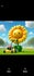 Pushin Daisies LLC