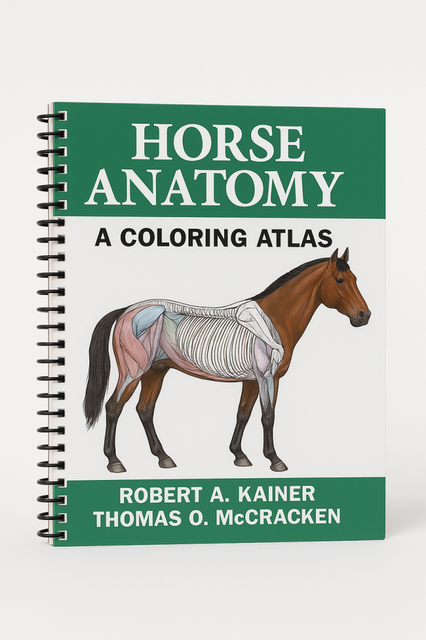 Horse Anatomy - a coloring Atlas
