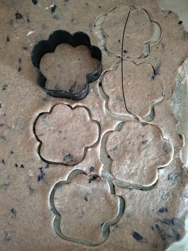 Blueberry paw print