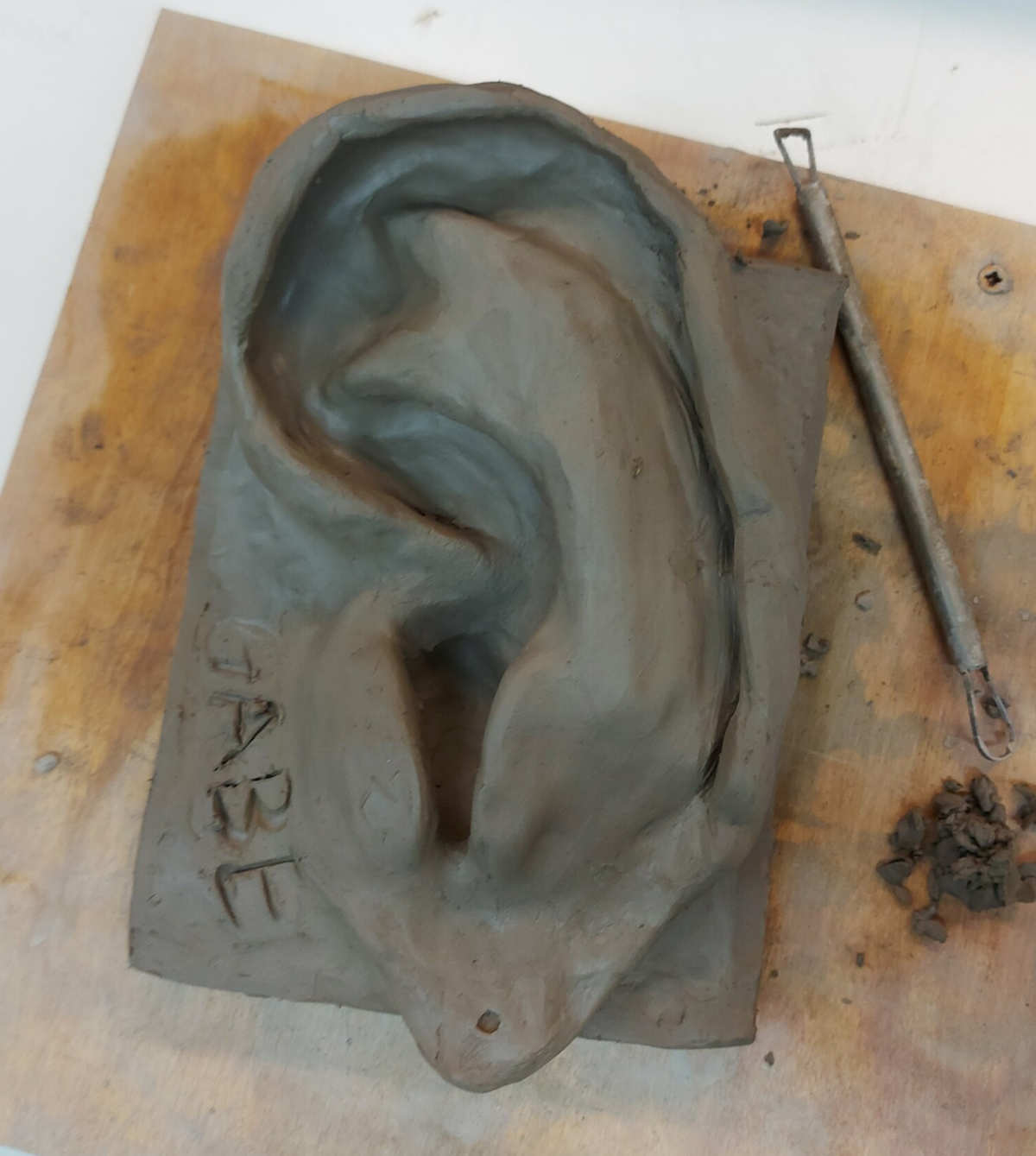 Ear Pattern For Project Model Ear Project | Uni year 1