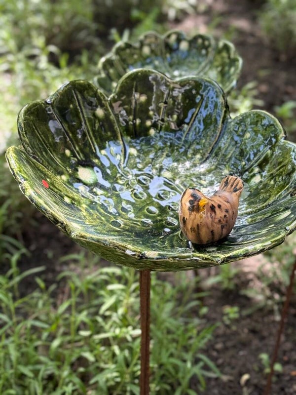 Vogel drinkbak groot