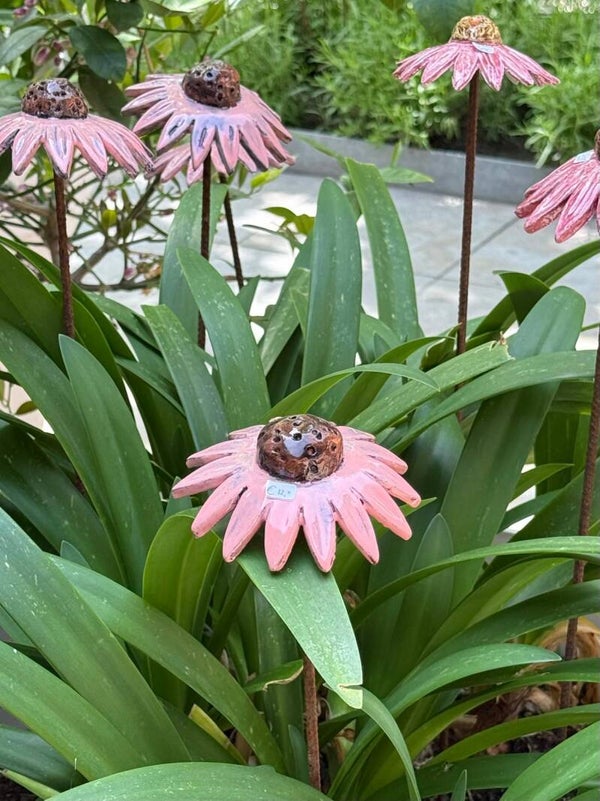 Roze magriet op steel