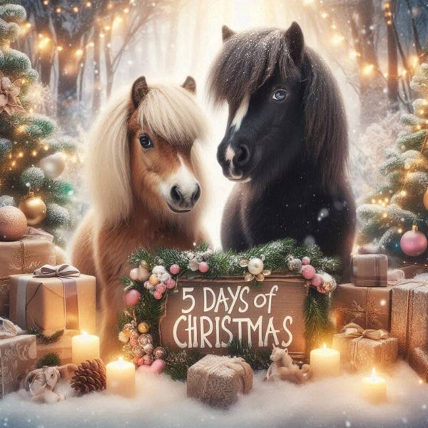 5 DAYS OF CHRISTMAS BOXEN - touwproducten