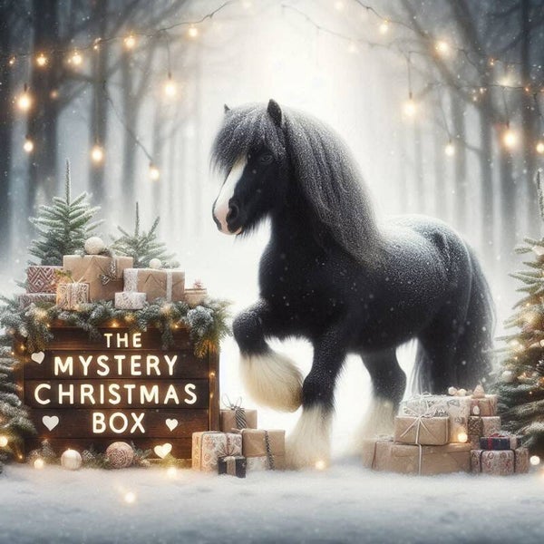 Mystery Christmas Box - Biothane/webbing producten