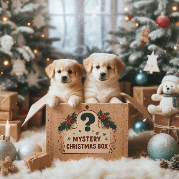 Mystery Christmas Box - honden producten