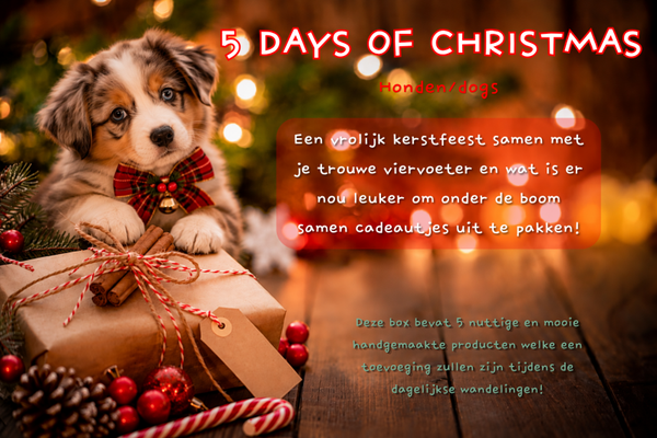 5 DAYS OF CHRISTMAS BOX - hond