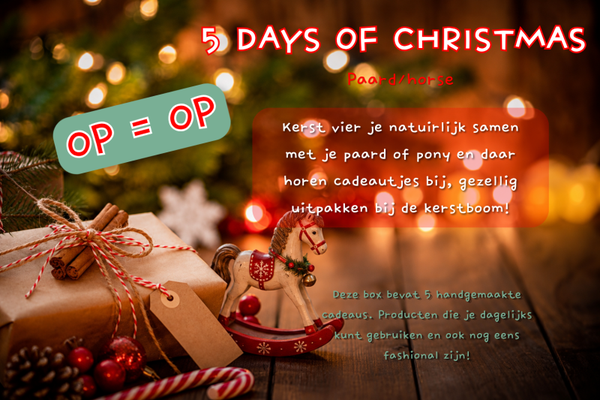 5 DAYS OF CHRISTMAS BOX - pony/paard