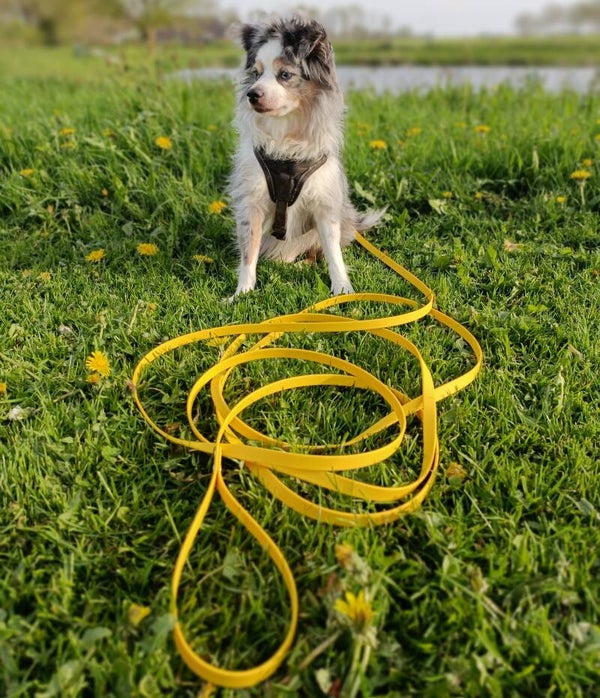 Sleeplijn/speurlijn coated webbing t/m 7 meter