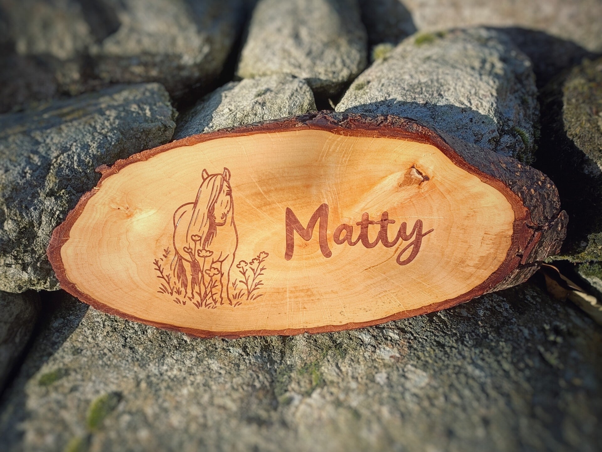 Naambord met lijnen tekening eigen paard/hond - +/- 27 - 29 cm breed