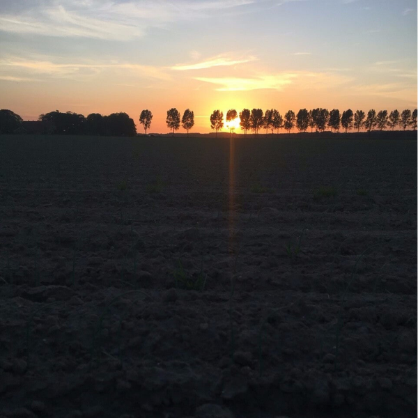 ZONSONDERGANG YOGA BIJ ZUIDRKRIB MET ELZA 20 JUNI