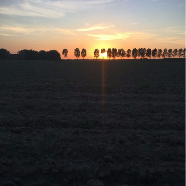 ZONSONDERGANG YOGA BIJ ZUIDERKRIB MET ELZA 9 MEI