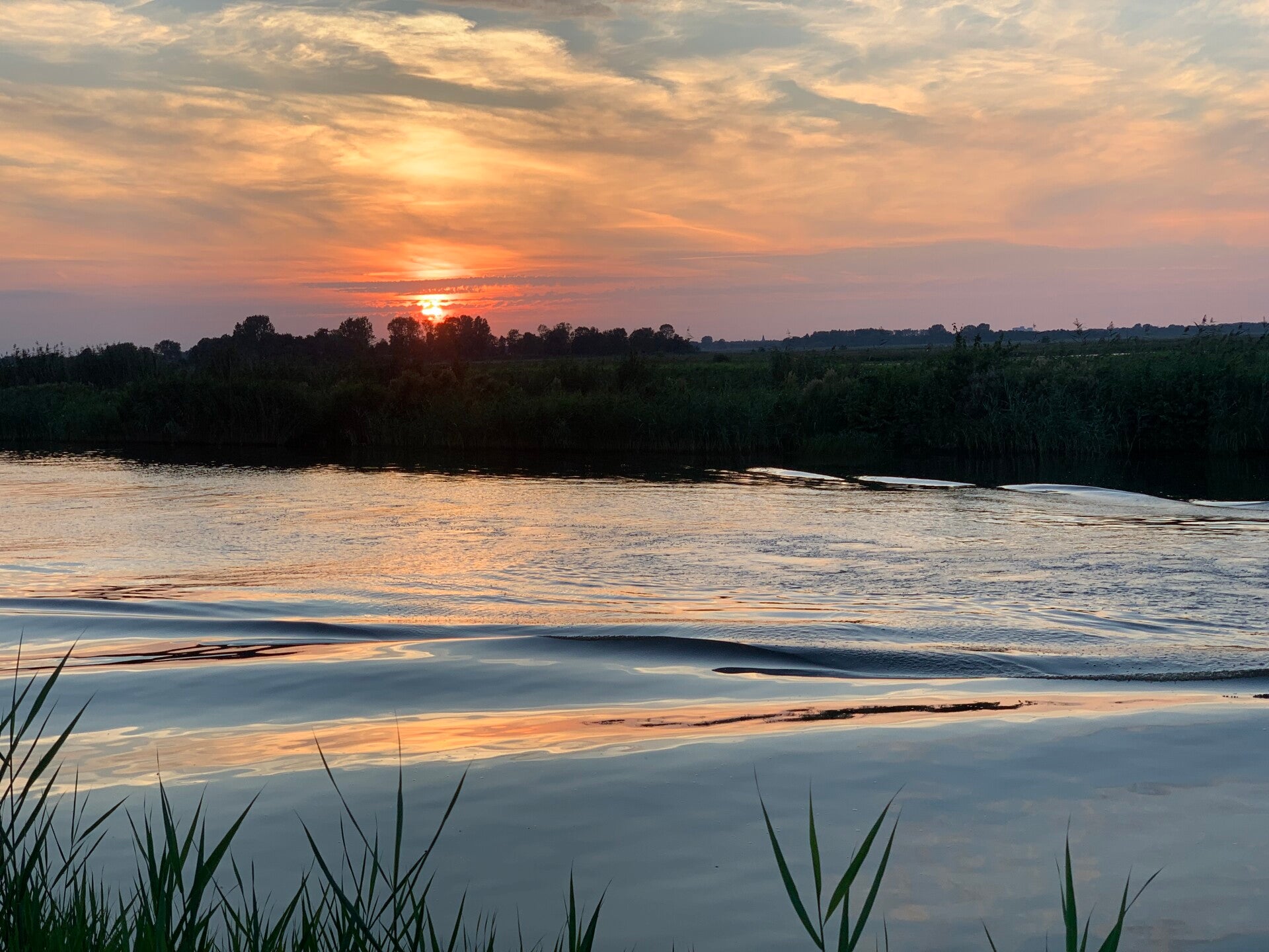 Workshop ENERGETISCH DETOX 8 JAN