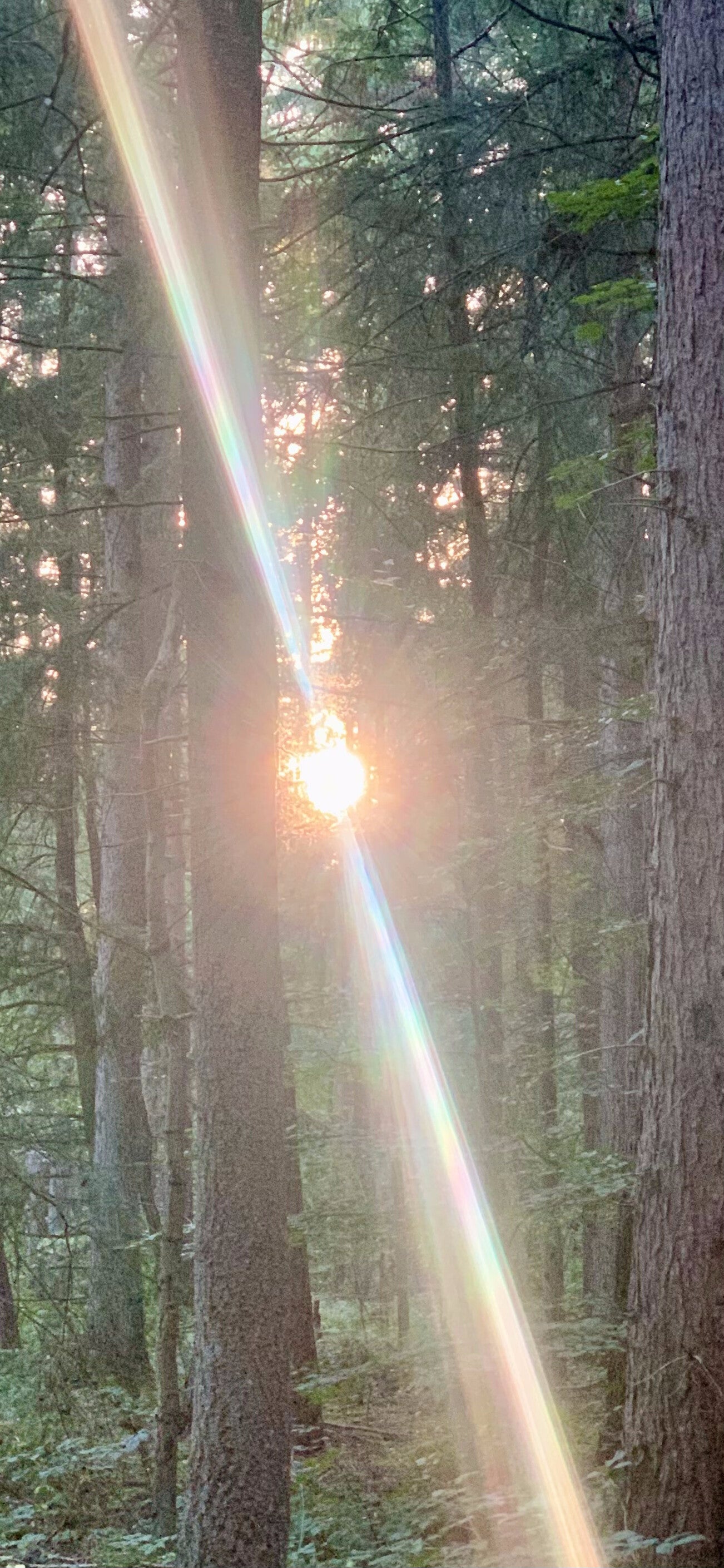 DIEPTE OPSCHONING EN HERUITLIJNING 7 sessies