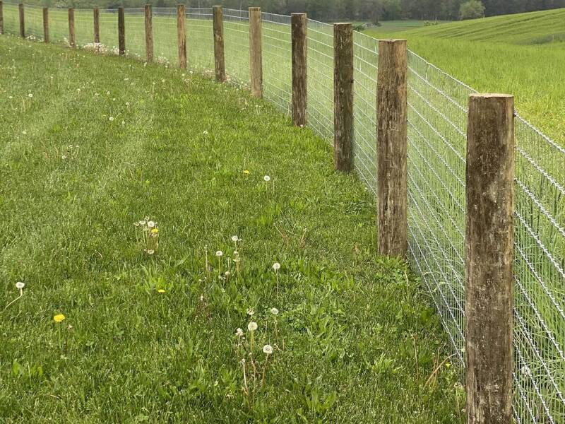 ag-fence-maryland-fence-company-3-standard-thnlq3.jpg
