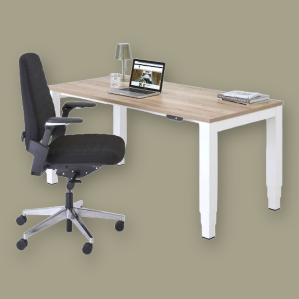 Ergo Thuiswerkplek Zit-Sta Bureau Flex 4 Elektrische