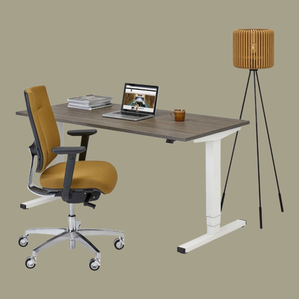 Ergo Thuiswerkplek Zit-Sta Bureau Flex Eco Elektrische