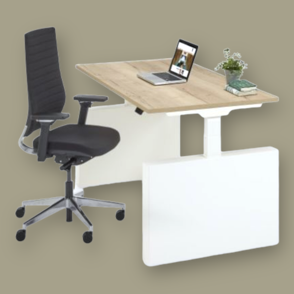 Ergo Thuiswerkplek Zit-Sta Bureau Flex 3 Wang Elektrische