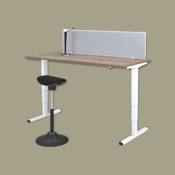 Ergo Thuiswerkplek Zit-Sta Bureau Flex 3+ Elektrische