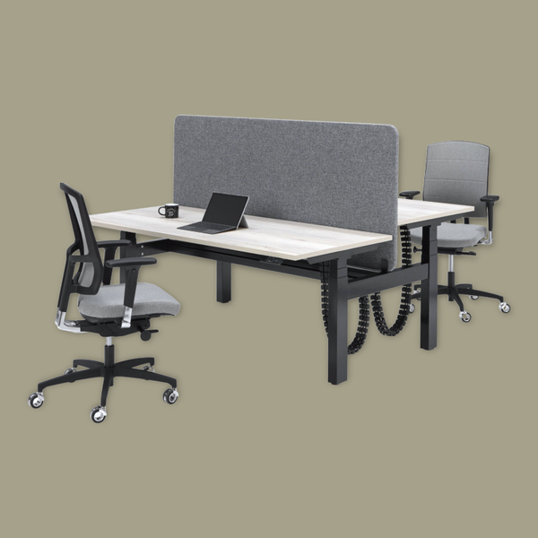 Ergo Thuiswerkplek Zit-Sta Bureau Flex 3+ Bench Elektrische
