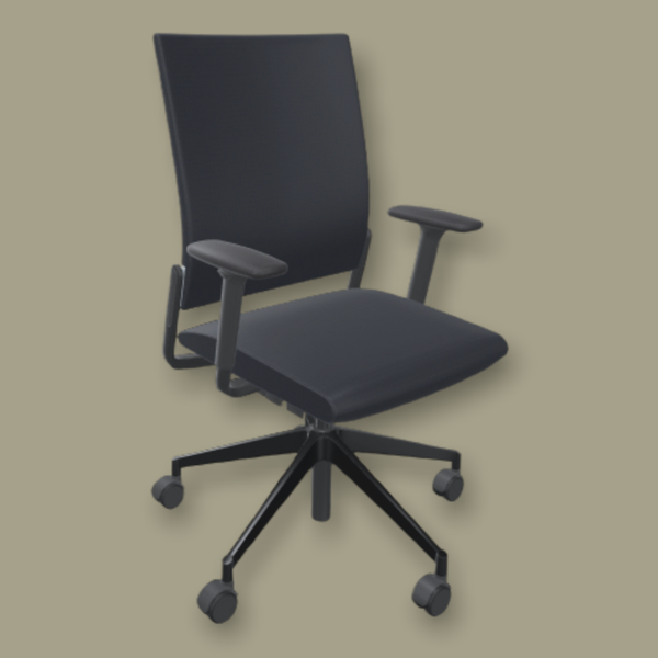 Gestoffeerde Ergonomische Arbo Girsberger Camiro