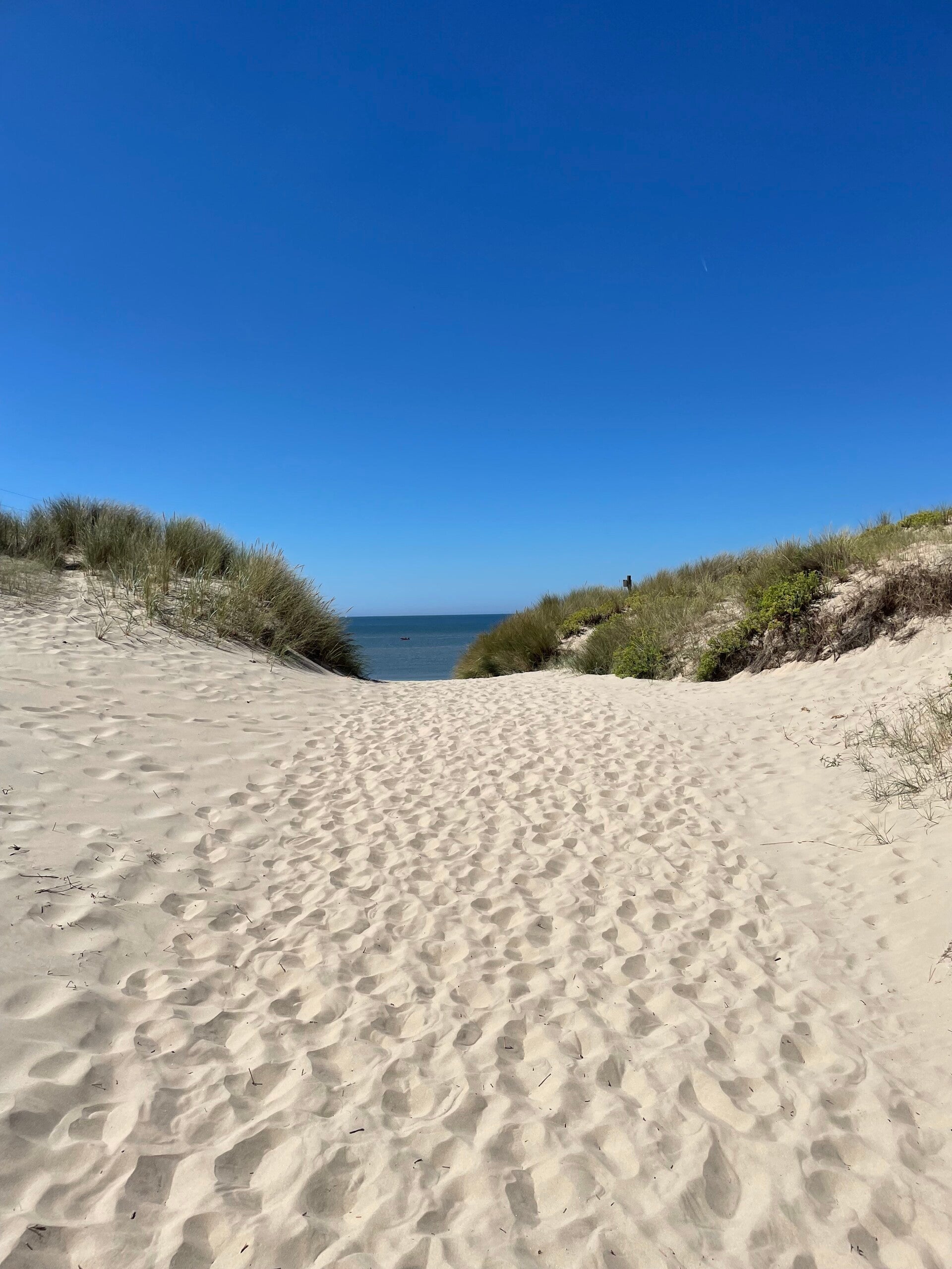 Zandpad tussen duinen richting zee onder een heldere blauwe lucht, met rustige uitstraling.