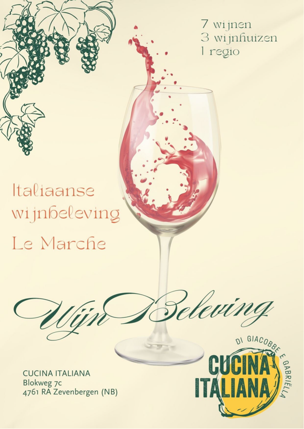 Wijnbeleving - Le Marche