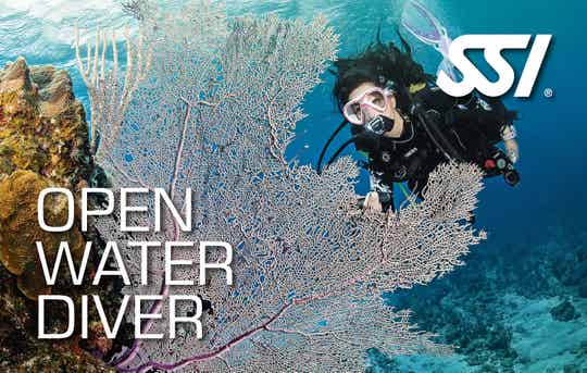 SSI Open Water Diver & Nitrox 40%