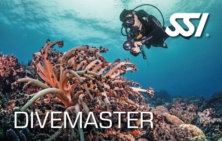 SSI Divemaster Lehrgang