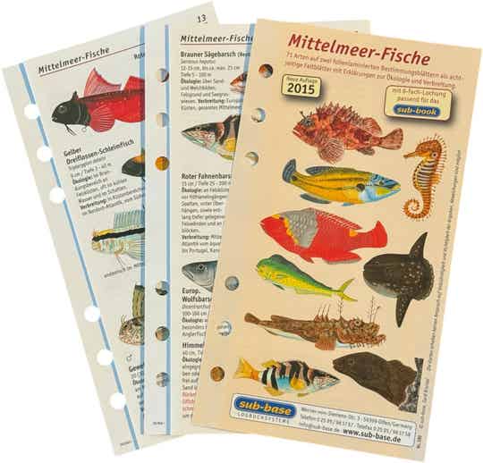 Fischkartenset Mittelmeer