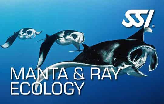 SSI Manta and Ray Ecology