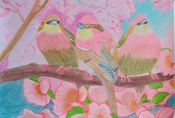Spring Birds