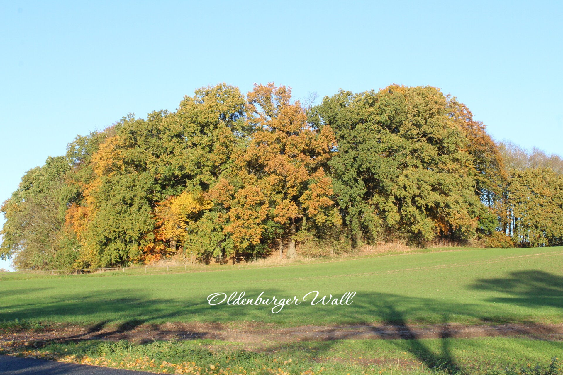 Oldenburger Wall